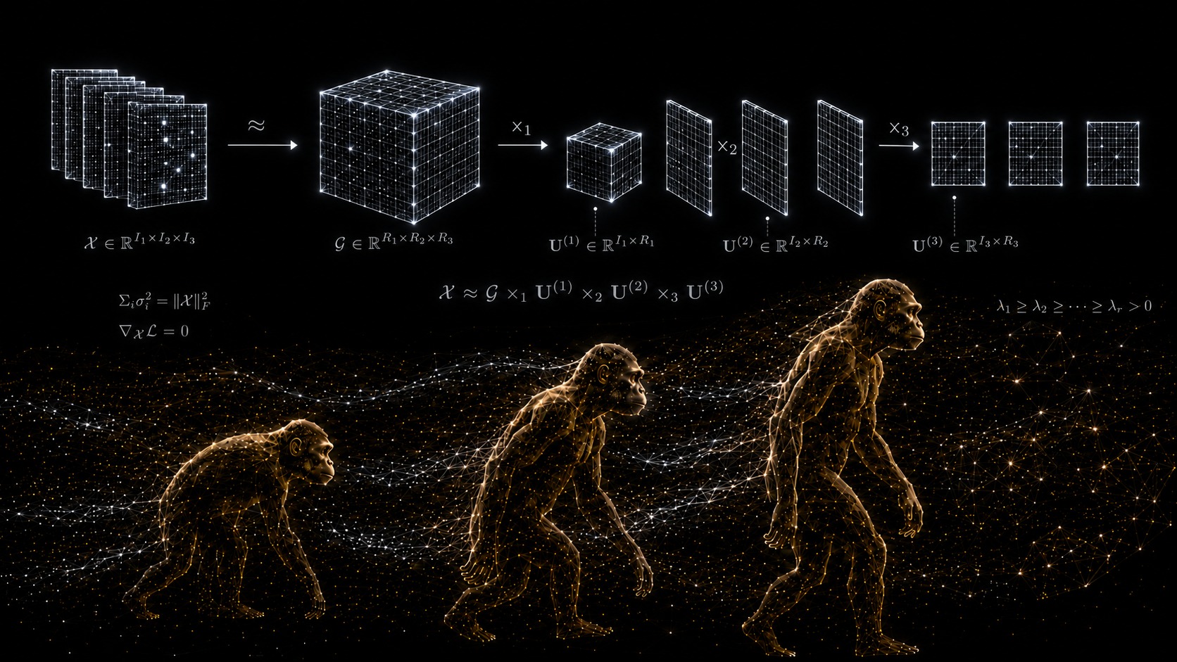 Tucker tensor decomposition above a point-cloud progression of human evolution